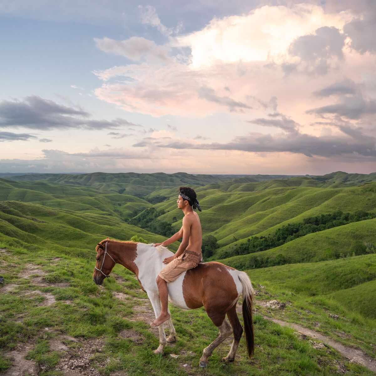 Bukit Warinding hills, horseback riding backdrop, Sumba