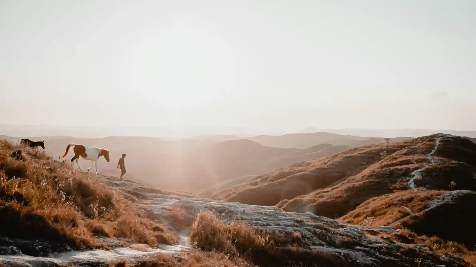 The Best Time for a Sumba Luxury Travel Experience
