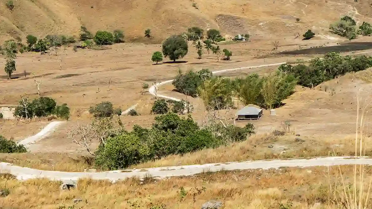 Planning a Sumba Private Tour in August: What to Expect