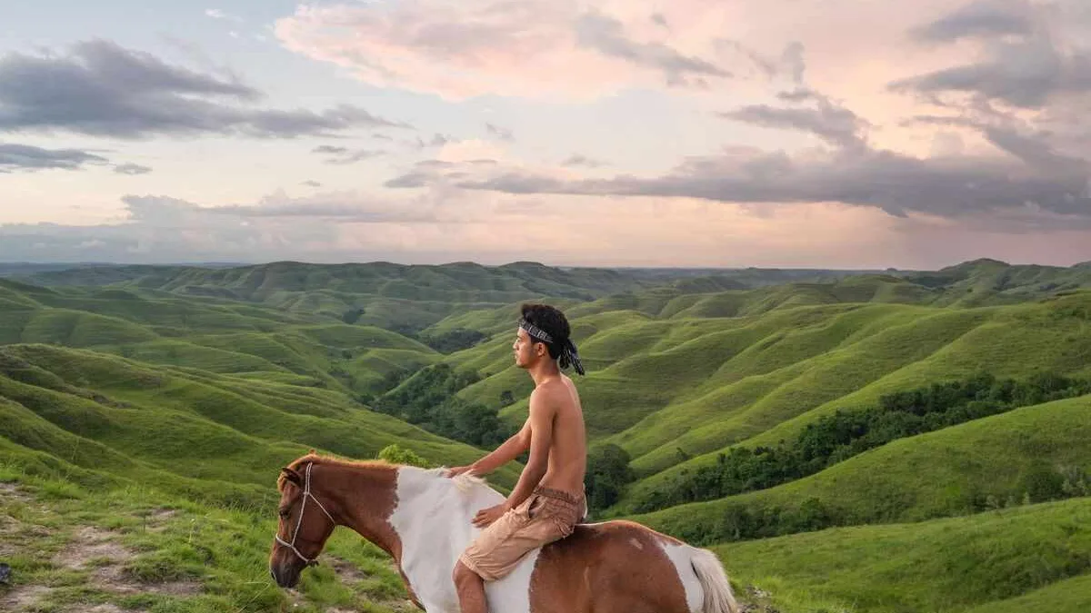 Sumba surf, snorkelling, horses and outdoor adventures