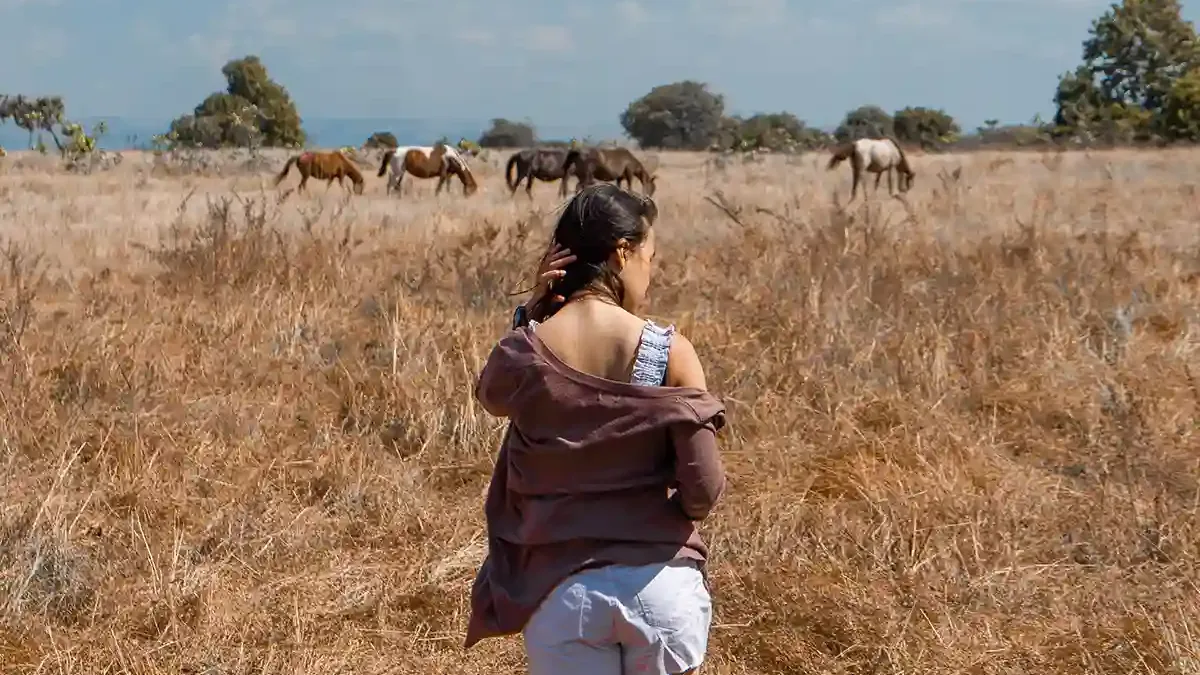Packing list and what to wear for Sumba’s climate
